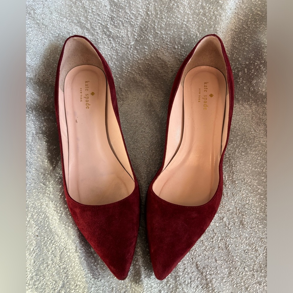 Pointed Toe Block Heel Pumps in Burgundy Suede - Picture 13 of 13